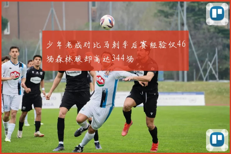 少年老成对比马刺季后赛经验仅46场森林狼却高达344场