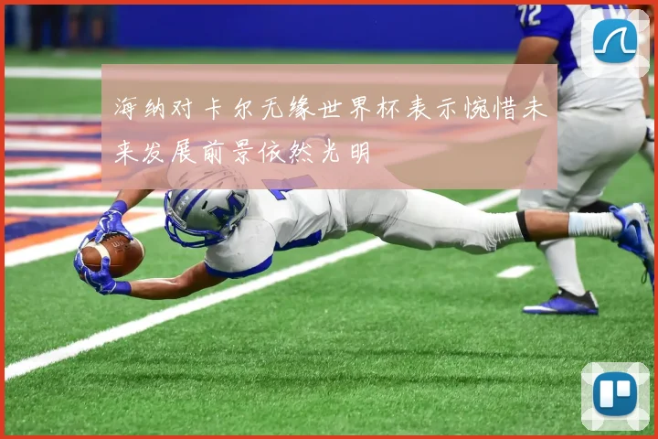 海纳对卡尔无缘世界杯表示惋惜未来发展前景依然光明